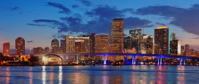 miami contact